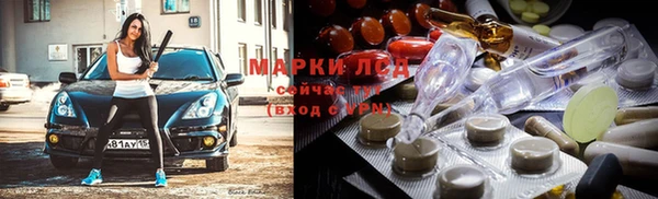 ГАЛЛЮЦИНОГЕННЫЕ ГРИБЫ Аркадак