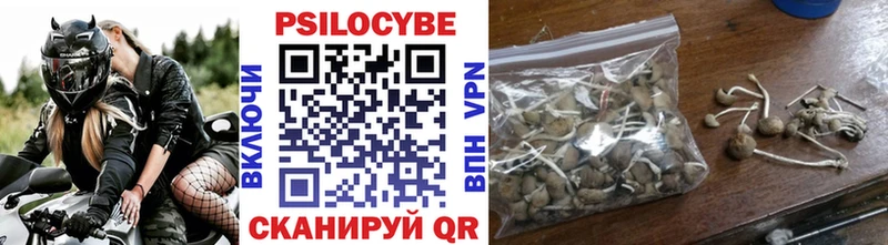 omg как зайти Санкт-Петербург дарк нет как зайти Галлюциногенные грибы прущие грибы